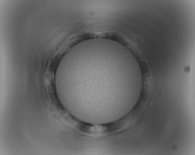 X0000113110225200909111122