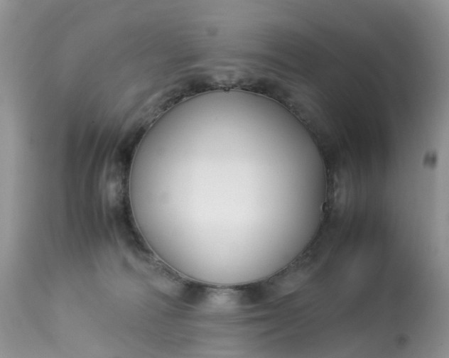 X0000113110226200909111122