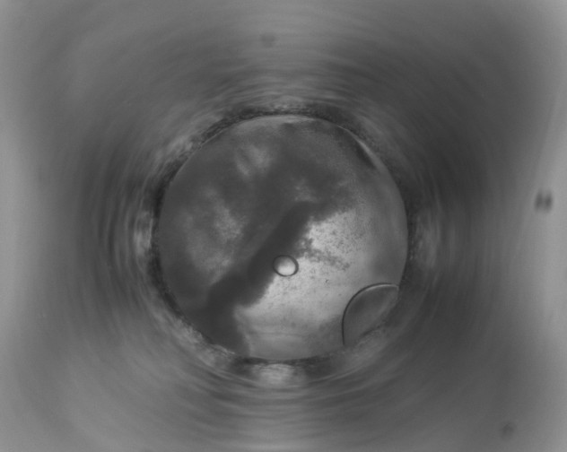 X0000113110230200909111122