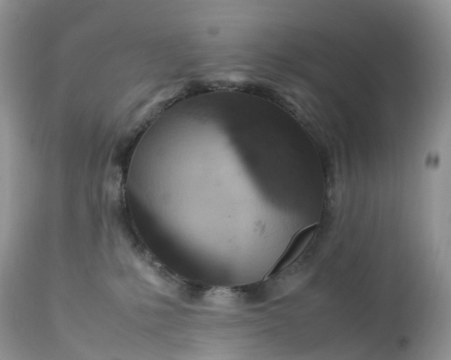 X0000113110231200909111122