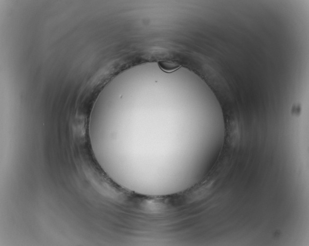 X0000113110232200909111122