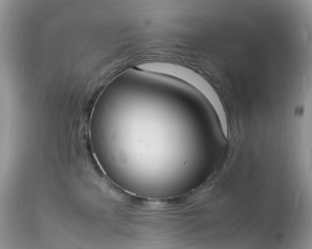 X0000113110233200909111122