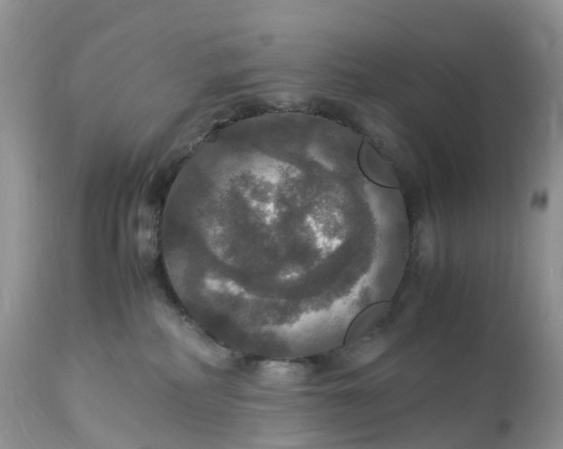 X0000113110234200909111122