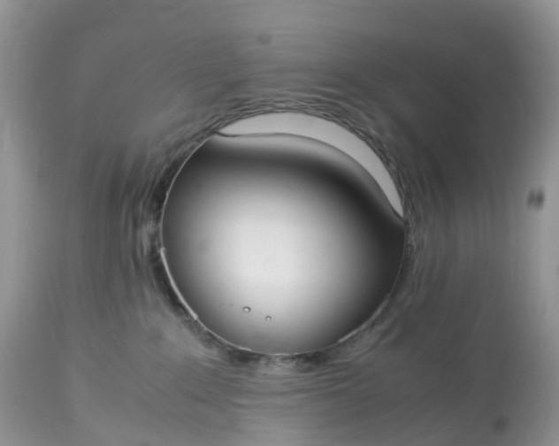 X0000113110235200909111122