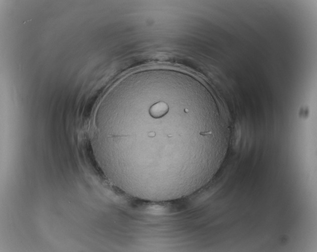 X0000113110236200909111122