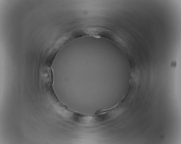 X0000113110237200909111122