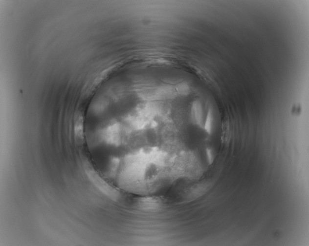 X0000113110238200909111122