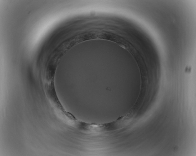 X0000113110239200909111122