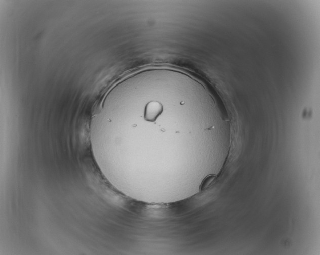 X0000113110240200909111122