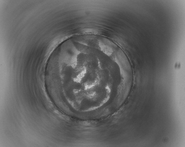 X0000113110241200909111121