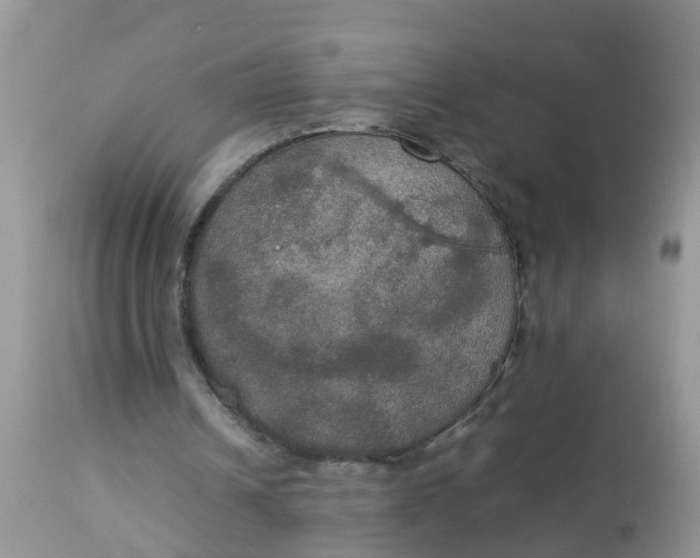 X0000113110242200909111121