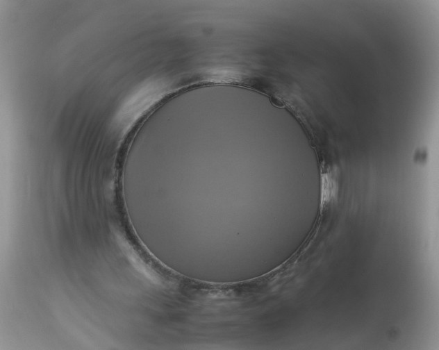 X0000113110243200909111121