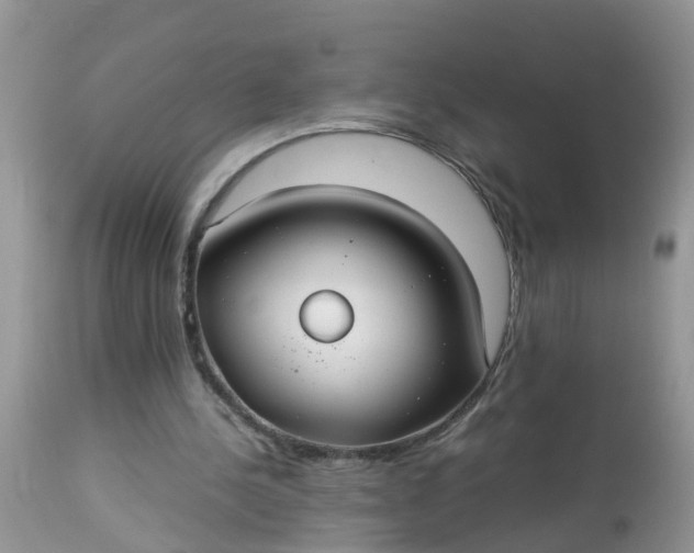 X0000113110244200909111121