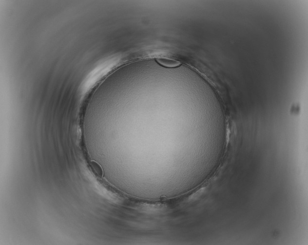 X0000113110245200909111121