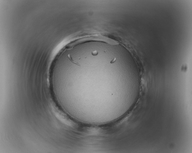 X0000113110246200909111122