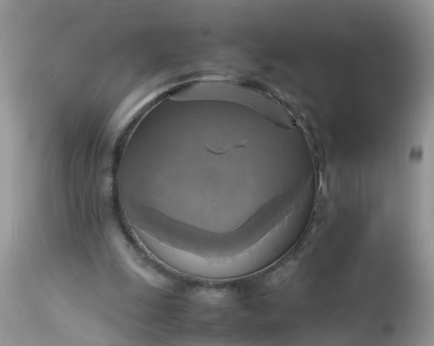 X0000113110247200909111122