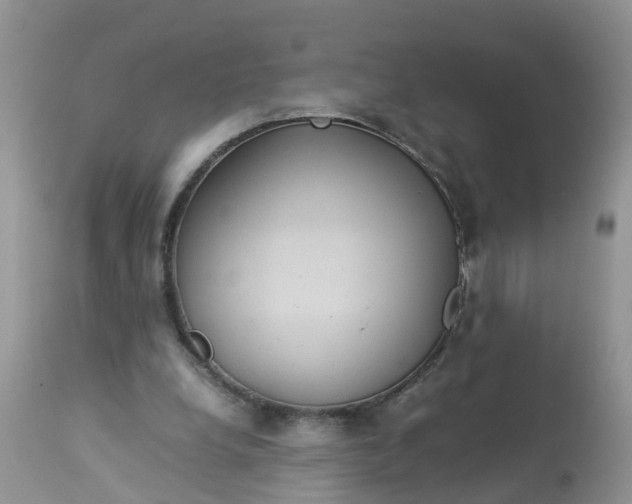 X0000113110248200909111122