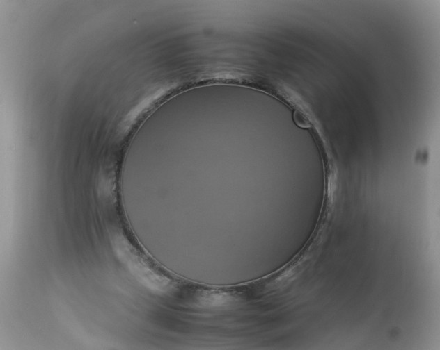 X0000113110249200909111122