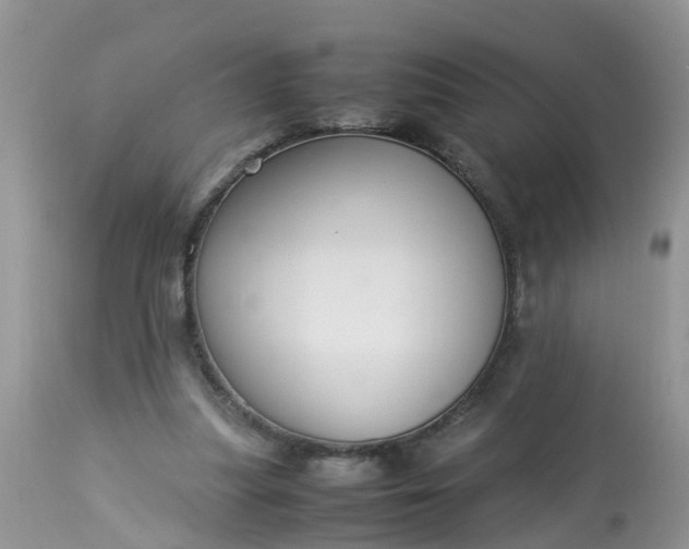 X0000113110251200909111122