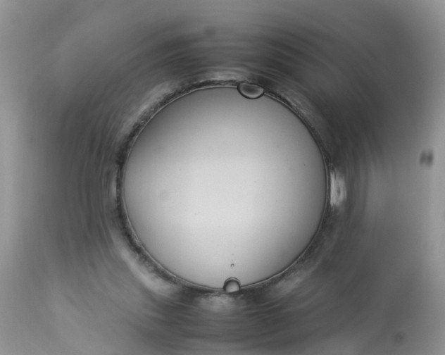 X0000113110253200909111122