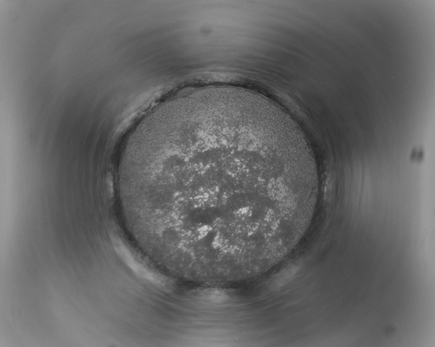 X0000113110254200909111122