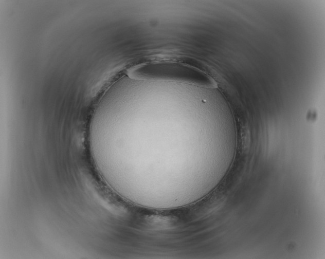 X0000113110255200909111122