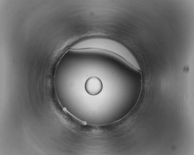 X0000113110256200909111122