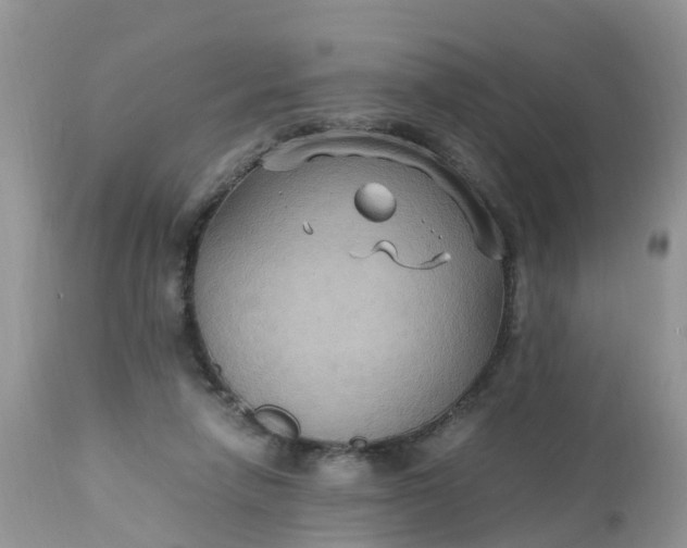 X0000113110258200909111122