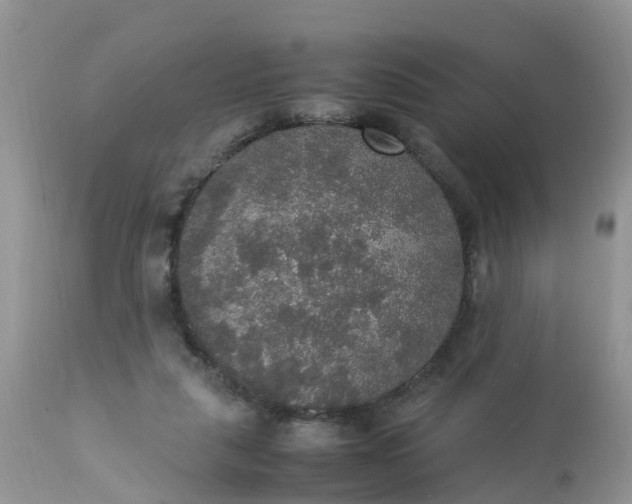 X0000113110259200909111122