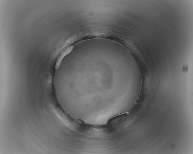 X0000113110260200909111122