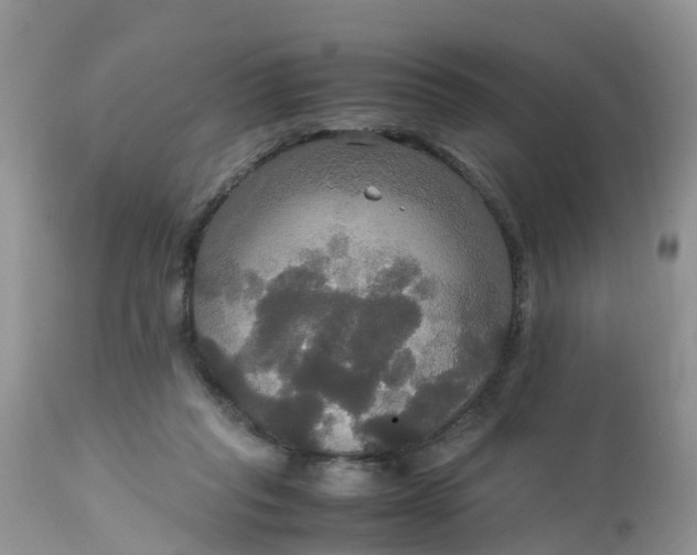 X0000113110261200909111122