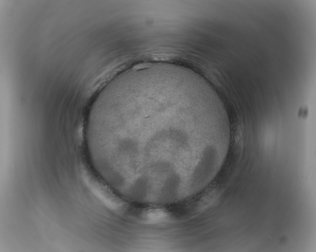 X0000113110262200909111122