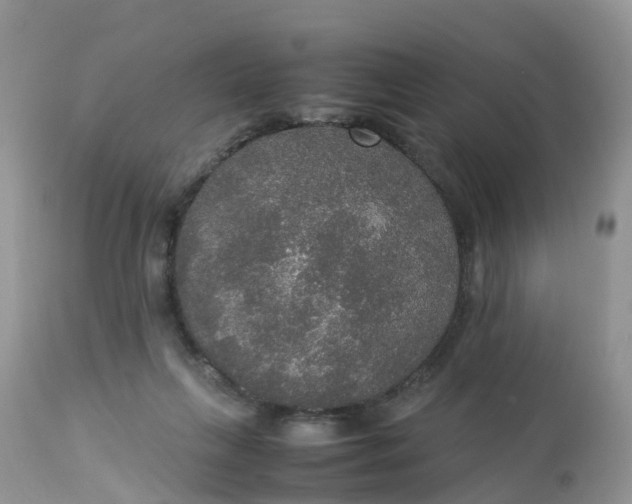 X0000113110263200909111122