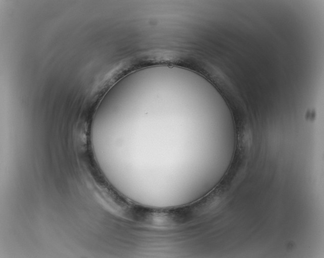 X0000113110264200909111122