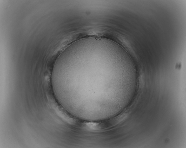 X0000113110265200909111122