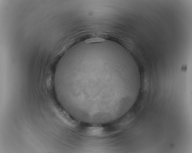 X0000113110266200909111122