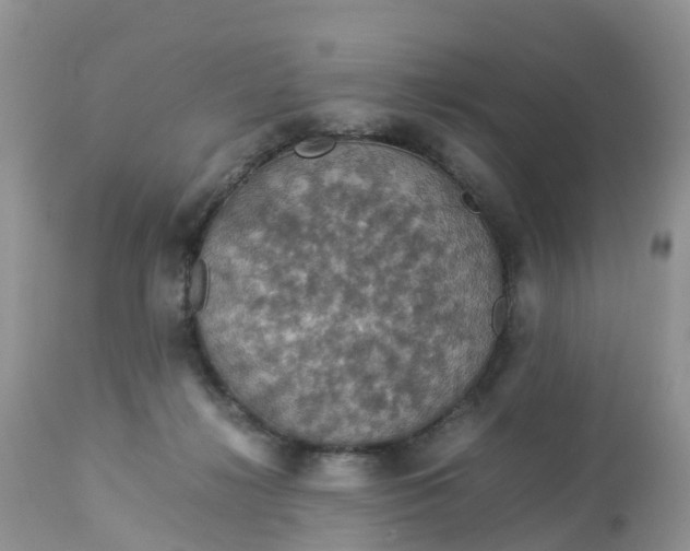 X0000113110268200909111122