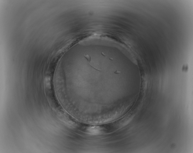 X0000113110269200909111122