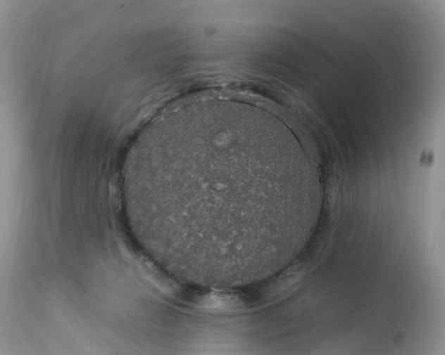 X0000113110270200909111122