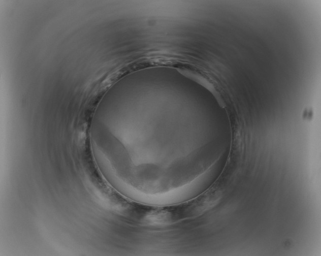 X0000113110271200909111122