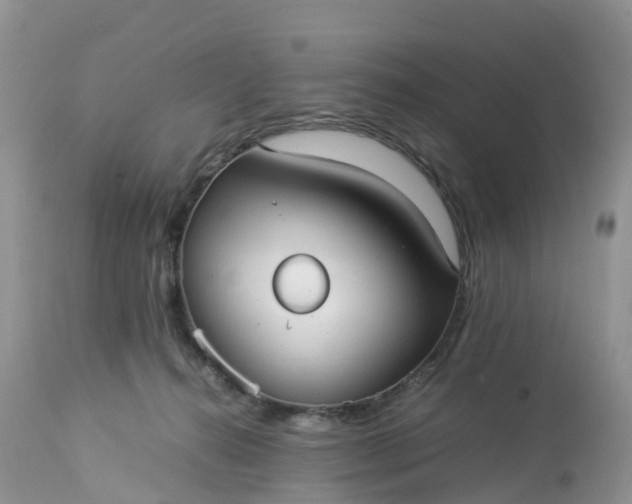 X0000113110272200909111122