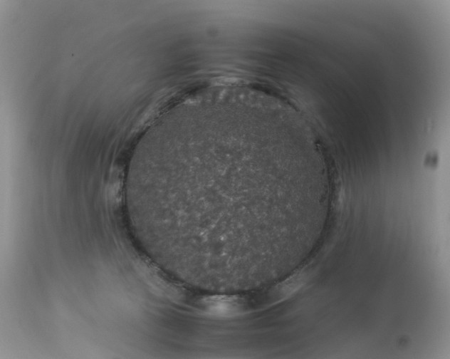 X0000113110273200909111122