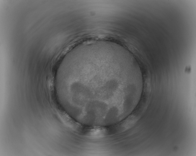 X0000113110274200909111122