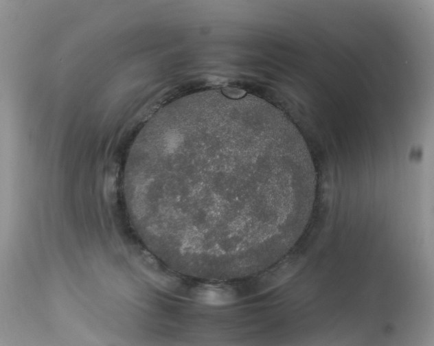 X0000113110275200909111122