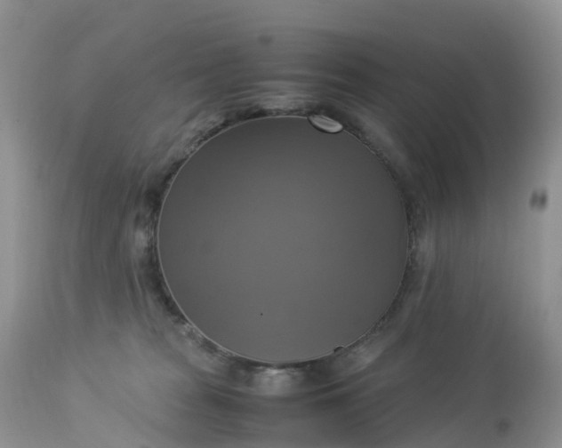 X0000113110277200909111122