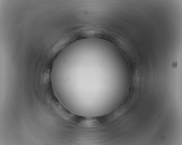 X0000113110278200909111122