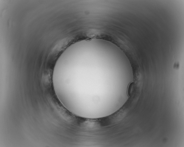 X0000113110280200909111122