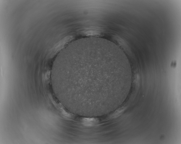 X0000113110281200909111122