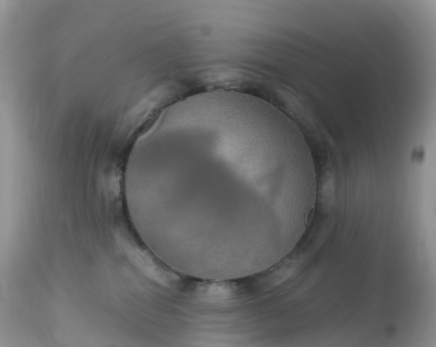 X0000113110282200909111122