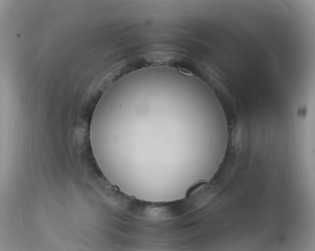 X0000113110283200909111122